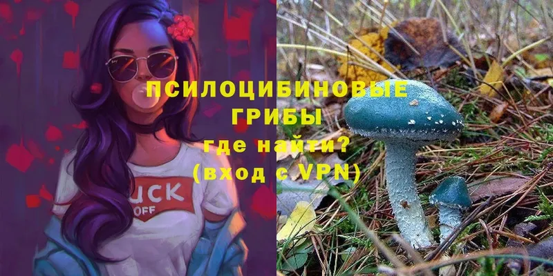 Галлюциногенные грибы Magic Shrooms  Волжск 